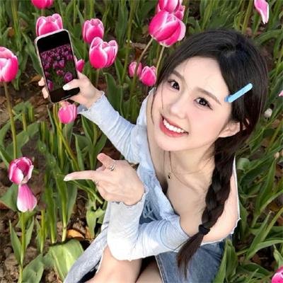 菊石